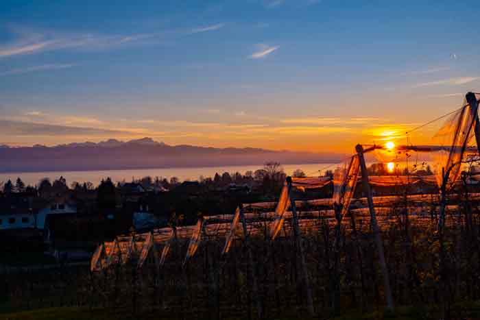 Wasserburg am Bodensee