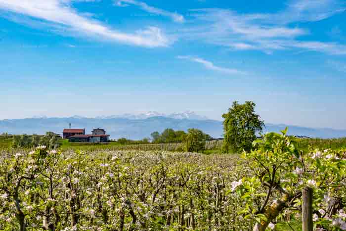 Nonnenhorn am Bayerischen Bodensee